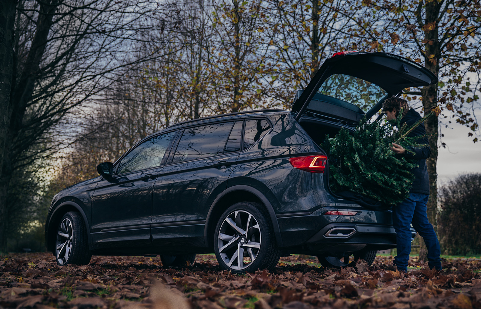 SEAT Blog | Je eigen kerstboom zagen