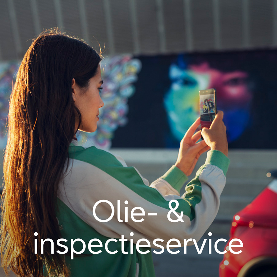 Service - Olie en inspectieservice