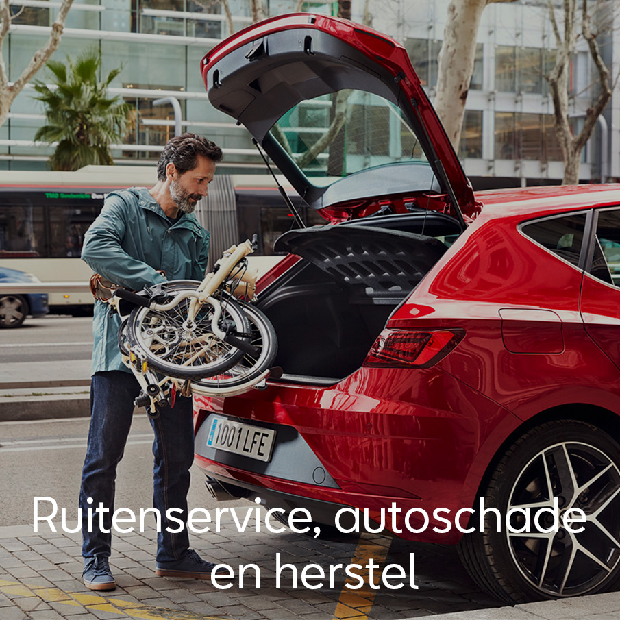 Service - Ruitenservice, schade en herstel