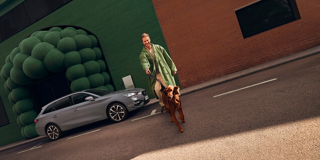 Zijaanzicht tegen een groene achtergrond, van een Graphene Grey Leon Sportstourer en een man die voorbijloopt met een hond.